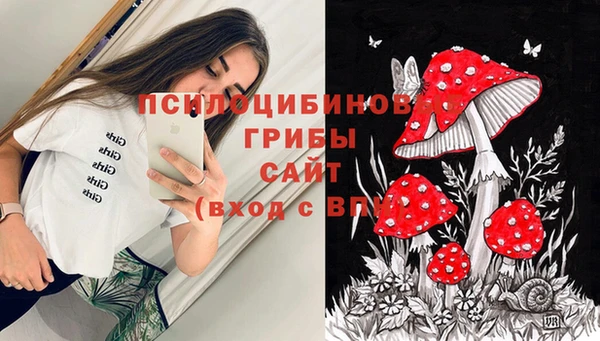 экстази Горнозаводск