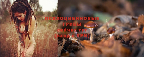 герыч Горняк