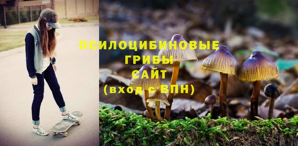 экстази Горнозаводск