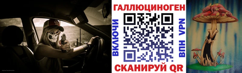 Псилоцибиновые грибы Psilocybine cubensis Данилов
